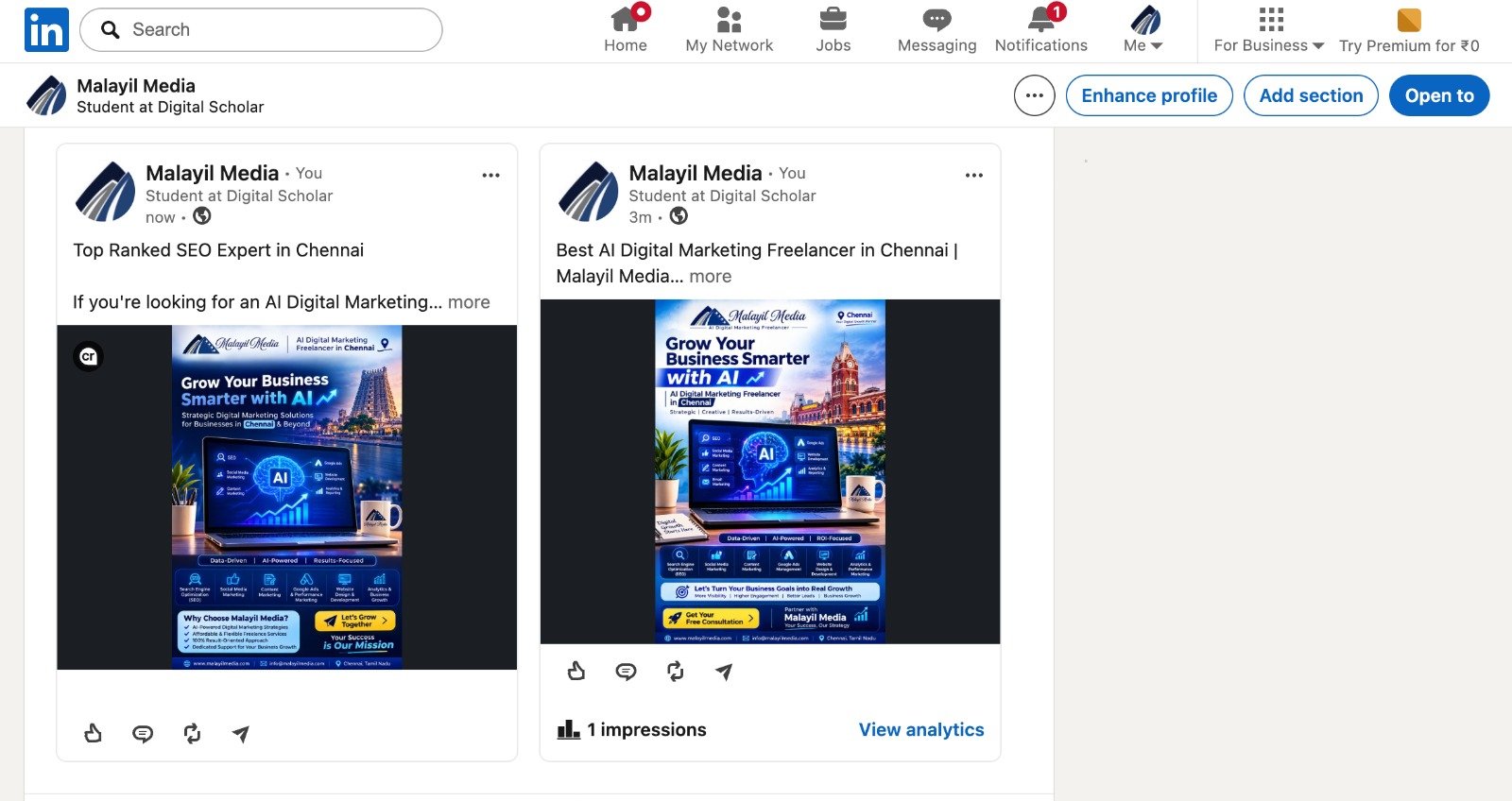 LinkedIn Top Ranked SEO Expert and Digital Marketing Freelancer in Chennai - Malayil Media