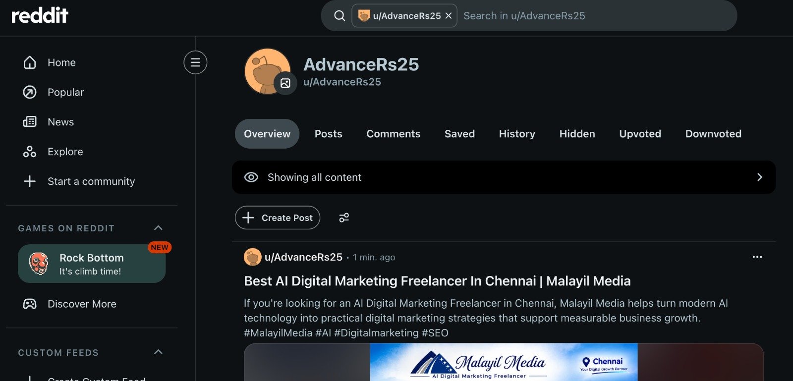 Reddit Community Discussion on Best AI Digital Marketing Freelancer in Chennai - Malayil Media